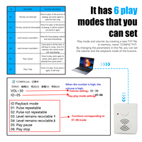 Boîte à son USB programmable pour enregistrement et lecture vocale, pour jouets en peluche, ours en peluche et animaux en peluche