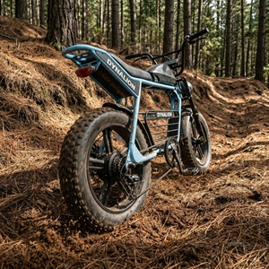 Bicicleta Eléctrica Todoterreno Resistente a Pinchazos con Neumáticos Gruesos de 20x4.0, Bicicleta Eléctrica Todoterreno de Alta Resistencia para Paseos por Senderos Forestales - Product Image 3