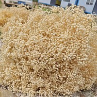 Fleurs de gypsophile séchées naturelles, tiges de souffle de bébé pour la décoration de tables de mariage et de vases de fête
