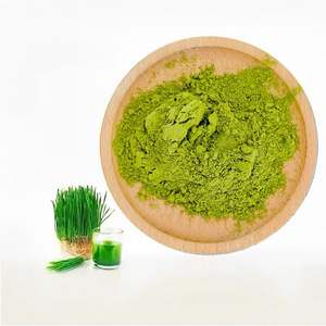 خلاصة أعشاب الشعير الخضراء النقية من الدرجة الغذائية ، مسحوق العصير في أسطوانة مفرغة من الهواء ، مكمل عشبي - Product Image 1