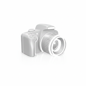 Servicios de Inspección de Fábrica con Tarifa de Exploración - Product Image 2