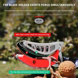 Thương Hiệu Mới Vườn Trái Cây Chọn Cây Cắt tỉa Kéo Với Mở Rộng Xử Lý Dài Phạm Vi Độ Cao Trái Cây Chọn Kéo - Product Image 4