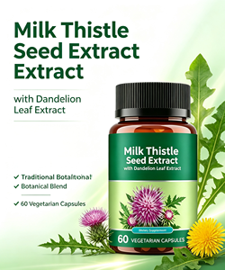 GMP Milk Thistle Seed Extract Capsules with Dandelion Leaf Extract Private Lable Non-gmo Gluten Free 60 Capsules - Product Image 3