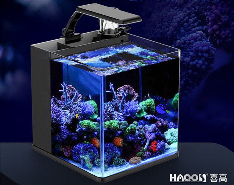 Mini Acquario Decorativo 25x25x10 Cm - Per Pesci, Piante O Centro Tavola - Foto 10