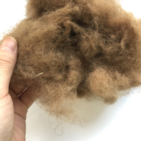 Supersoft enthaarte Kamel haare/Kamel wolle zu einem guten Preis
