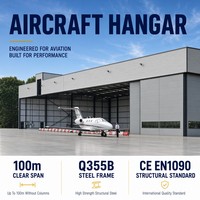 Hangar para Jets Comerciales, Estructura de Acero, Hangar para Aviones Privados, Almacenamiento, Instalación Aeroportuaria, Sin Columnas