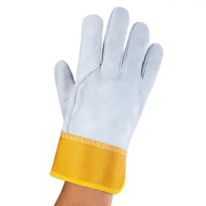 New China Manufacturer Premium Full Leather Short Gloves Superior Quality Gloves All Occasions