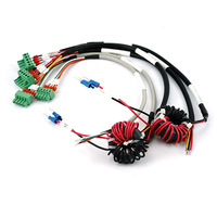 Harness Kabel Multi-cabang Kompleks Kustom dengan Blok Terminal Hijau, Kumparan Choke Cincin Ferit untuk Peralatan Otomasi Industri