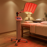 Luz LED PDT de 4 Colores a Precio de Fábrica, Terapia Facial con Fotones LED, Diodo PDT Seguro para la Piel, Luz de Bajo Nivel