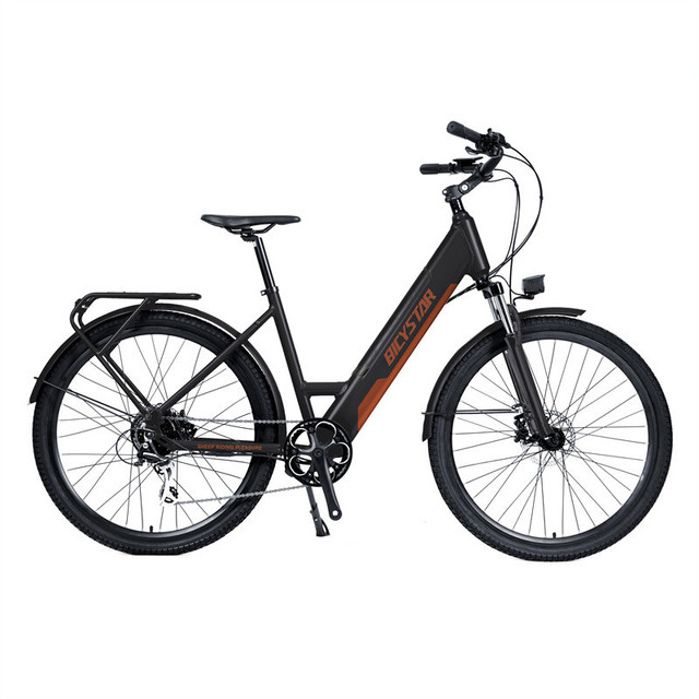 Children Electrie Bicycle for 10 Years Old Child/china Cheap Mini Ebike/china Cheap Ebike Electric Bicycle
