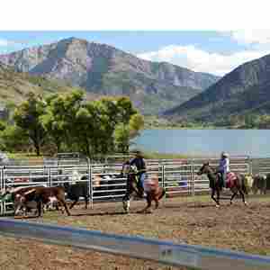 6 Feet Portable Heavy Duty Galvanized Metal Pen Cattle Corral Livestock Farm Horse Rodent Proof Waterproof <strong>Hog</strong> Wire Fencing - Product Image 4