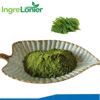 Label Pribadi OEM Ekstrak Daun Moringa Murni Alami Terlaris Bubuk Instan untuk Penggunaan Dewasa