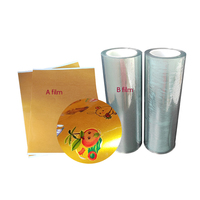 Rouleau de rouleau réutilisable personnalisé imprimante UV DTF 60cm x 100m AB PET étiquette d'emballage de tasse argent or transfert de chaleur B impression d'étiquettes de film