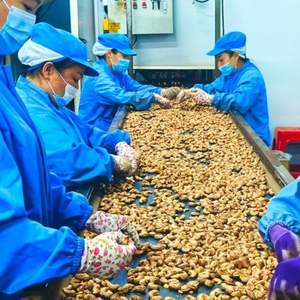 เม็ดมะม่วงหิมพานต์สด คุณภาพสูง จัดส่งจำนวนมากจากโรงงานจีน ของว่างจากถั่ว ออร์แกนิกและดีต่อสุขภาพ - Product Image 6