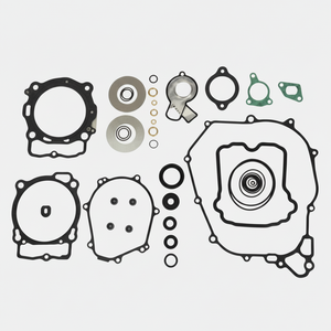 Kit de juntas de motor Gas 45021-23 con sellos de aceite Kits de herramientas Producto - Product Image 1