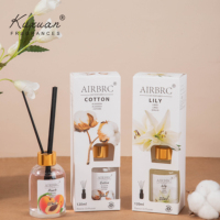 Diffuseur à bâtonnets 120 ml en promotion – Parfum d'ambiance pour la maison, huile essentielle, aromathérapie sans flamme