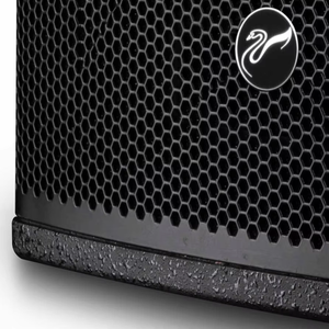 2021 nueva llegada cisnes PS600 6 pulgadas altavoz de audio profesional potencia máxima 500 vatios utilizado en lugares públicos de iglesias - Product Image 3
