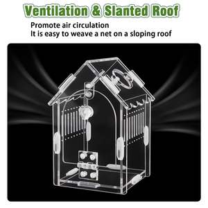 Recinto Acrílico Terrario para Arañas Saltarinas e Insectos para Pequeños Reptiles Arborícolas Cajas y Contenedores de Almacenamiento - Product Image 2