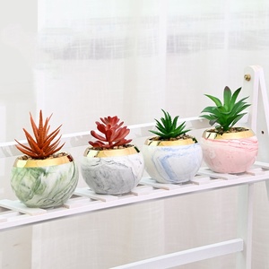 Maceta de Cerámica Mini para Suculentas <span class=keywords><strong>con</strong></span> Diseño de Dibujos Animados HY, Macetas para <span class=keywords><strong>Cactus</strong></span> y Plantas <span class=keywords><strong>con</strong></span> Soporte Metálico, Patrón de Mármol Sintético, Decoración de Escritorio y Suelo - Product Image 2