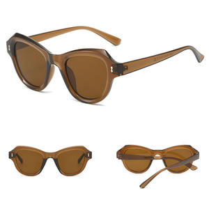 Occhiali DL cat eye retrò occhiali da sole eleganti classici UV400 occhiali unisex alla moda colorati da donna occhiali da sole 2024 - Product Image 6