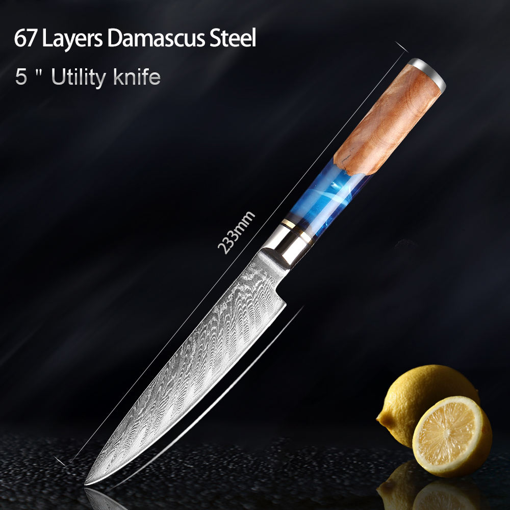 Acier Damas VG10 à 67 couches 5-LSZ-R8