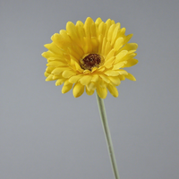 Bunga Gerbera Buatan Realistis Bergaya Pastoral, Bahan Sutra, Model Daisy Afrika, Untuk Dekorasi Ruang Tamu, Tangkai Tunggal