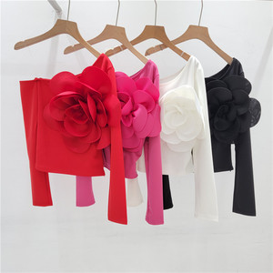 Boutique al por mayor verano nueva moda cuello inclinado <span class=keywords><strong>solo</strong></span> hombro Correa manga larga delgada camiseta <span class=keywords><strong>de</strong></span> las mujeres - Product Image 2