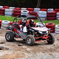 Go-Kart Todoterreno de 200 CC para Adultos, Go-Kart de Pedales Todoterreno, Karting Todoterreno Comercial de Alto Rendimiento, Personalizable Según se Necesite
