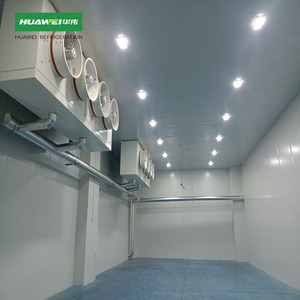 Chambre froide extérieure pour la conservation du poisson et de la viande, épaisseur 100/150 mm, chambre froide de stockage, chambre froide Dubaï - Product Image 6