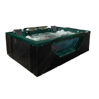 Bain à remous extérieur de luxe Whirlpool Hydropool, design moderne, capacité 5 personnes, matériau acrylique, 10 jets, commande par ordinateur