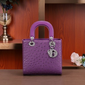 Sacs à main bandoulière haut de gamme 2024, sacs polyvalents inspirés de la princesse <span class=keywords><strong>Diana</strong></span> avec fermeture éclair pour femmes, style <span class=keywords><strong>Lady</strong></span>. - Product Image 5