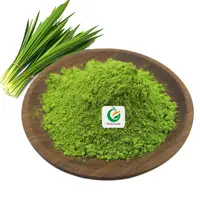 Fruiterco Supply - Pure Natural Raw Pandan Leaf Extract Powder