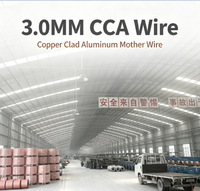 Fil conducteur intérieur émaillé de qualité industrielle en aluminium cuivré (CCA) massif de 3,0 mm, haute conductivité, faible résistance
