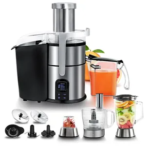 Stainless Steel Body 800w 5speeds With Lcd Display High Efficient 9 In 1 Juicer Blender Mixer And Blender Multifunction Juicer