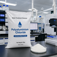 Chlorure de polyaluminium en poudre blanche PAC 30% pour le traitement de l'eau potable