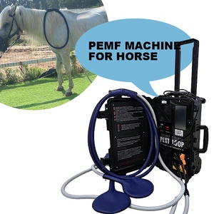 เครื่อง PEMF กำลังสูงสำหรับม้า พร้อมหน้าจอสัมผัสขนาด 7 นิ้ว เพื่อเพิ่มการผ่อนคลายกล้ามเนื้อและปรับอารมณ์ให้สงบ - Product Image 1