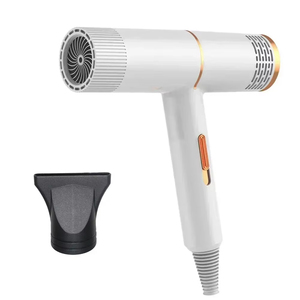 Secador de pelo profesional de 110V/220V, potente, de calentamiento rápido, herramienta de peinado para salón, secador de pelo de alta velocidad para el hogar/dormitorio - Product Image 1