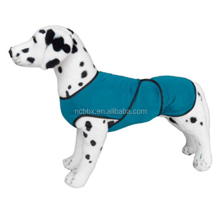 สีฟ้าอ่อน