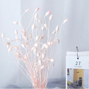 Carillon à vent naturel en forme de fleur et de fruit, artisanat, assorti d'un arrangement floral en bouteille flottante en herbe - Product Image 4