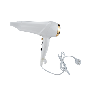 Salão Profissional Hotel Secador De Cabelo Secador De Pelo Profesional Del Hotel Salon Secador De Cabelo Negativo Doméstico - Product Image 4