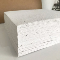 Etiquetas de papel de semillas de lujo personalizadas, etiquetas colgantes, ropa de cuerda creativa y etiquetas para zapatos, diseño ecológico
