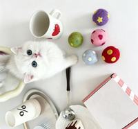 Ensemble de balles pour chat en feutre de laine de Nouvelle-Zélande 100% naturelle, colorées, faites à la main, boîte cadeau, jouets interactifs pour chatons