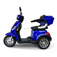 Véhicule électrique à trois roues longue portée 1000W 60V pour personnes âgées, tricycle électrique, vitesse 33 km/h, scooter Citycoco