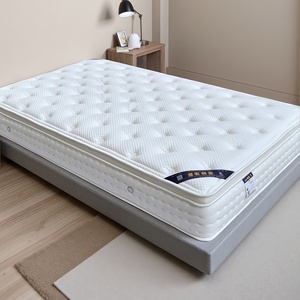 Chất Lượng Cao Khách Sạn Đặc Biệt Túi Mùa Xuân Nệm Thân Thiện Với Da Và Cao Phục Hồi Với Túi Mùa Xuân Cho Các Trường Học Và Bệnh Viện - Product Image 5