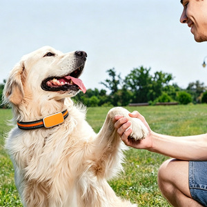 Moniteur de santé intelligent pour animaux de compagnie, traceur GPS, collier pour chien, suivi en temps réel 4G, étanche IP67, surveillance de la fréquence cardiaque, écran LCD, 1 an - Product Image 3
