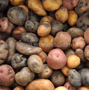 Équipement de culture des pommes de terre, machine à planter les pommes de terre agricoles, prix du tracteur à chenilles - Product Image 6
