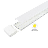 Lampe de purification LED avec diffuseur prismatique en tube de cristal, lumière linéaire LED 60w 80w 100w