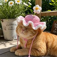 Chapeau pour animaux de compagnie en crochet simple fait main et personnalisé, en fil de laine doux, accessoire photo pour chiens, chats et petits animaux, idéal pour l'été et les fêtes d'anniversaire