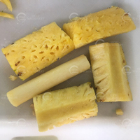 Automatische Ananas Dunschiller Ananas Peeling Coring Snijden Verwerking Scheidingsmachine