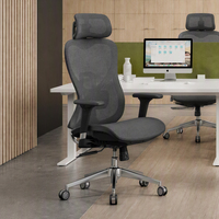 Chaise de bureau ergonomique pivotante de luxe avec support lombaire réglable en 2D, base chromée et dossier en maille haute